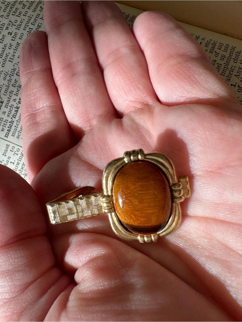 Tigers Eye Clip on Gem